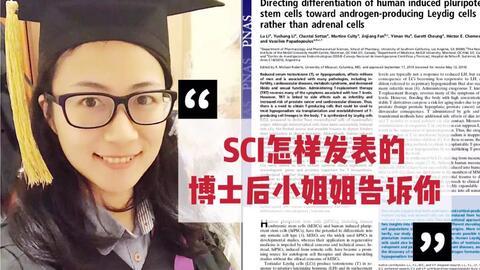 潜规则全书阅读 911爆料独家揭秘,911事件独家爆料内幕解析