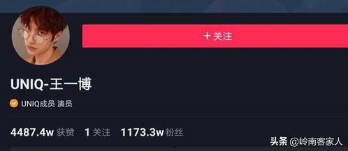 明星排行榜 抖音网红爆料网站大全,揭秘明星排行榜背后的秘密与风云