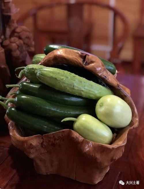 今日吃瓜热门大瓜必看大瓜网红,揭秘网红大瓜，吃瓜群众必看！