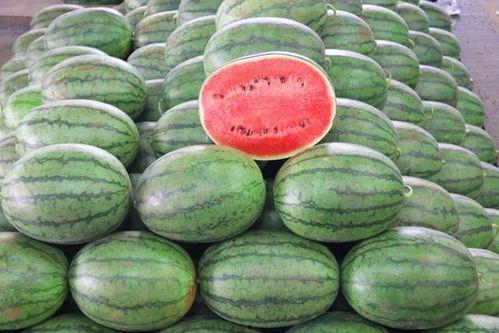 2025大瓜事件,揭秘年度娱乐圈风云变幻