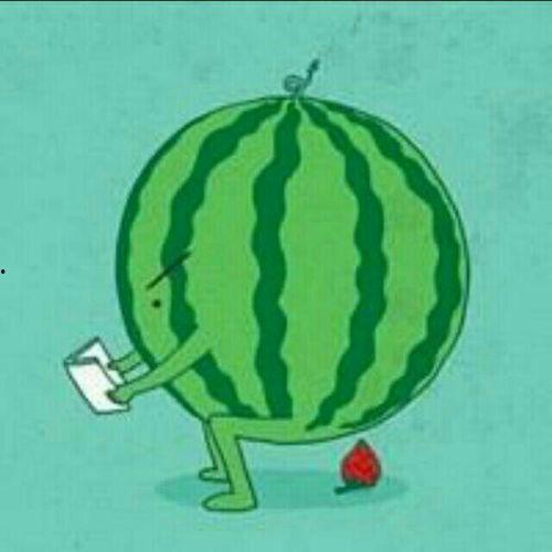 瓜在体育圈是什么意思